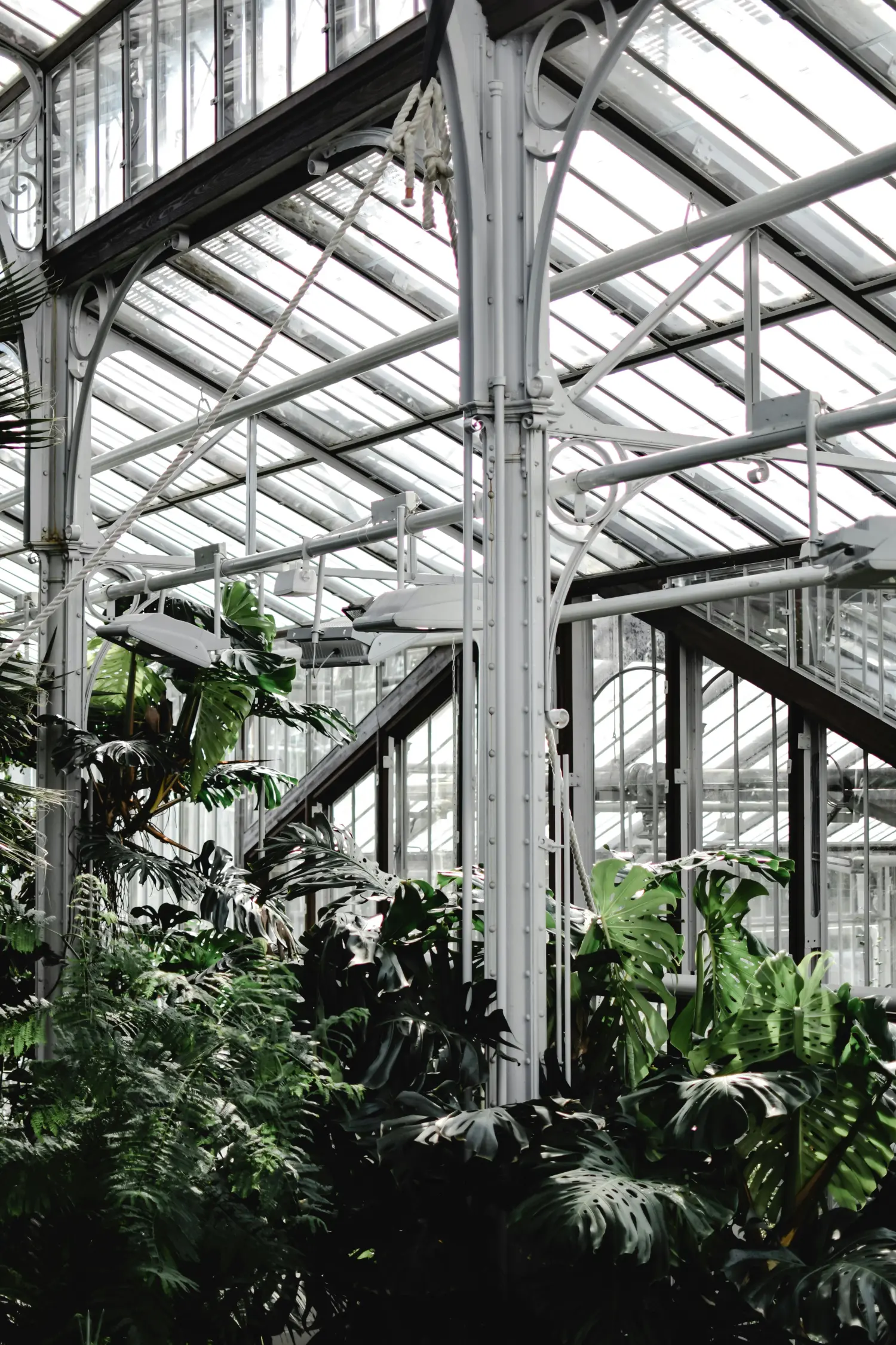 Gewächshaus aus Glas mit vielen verschiedenen Pflanzen und Blumen