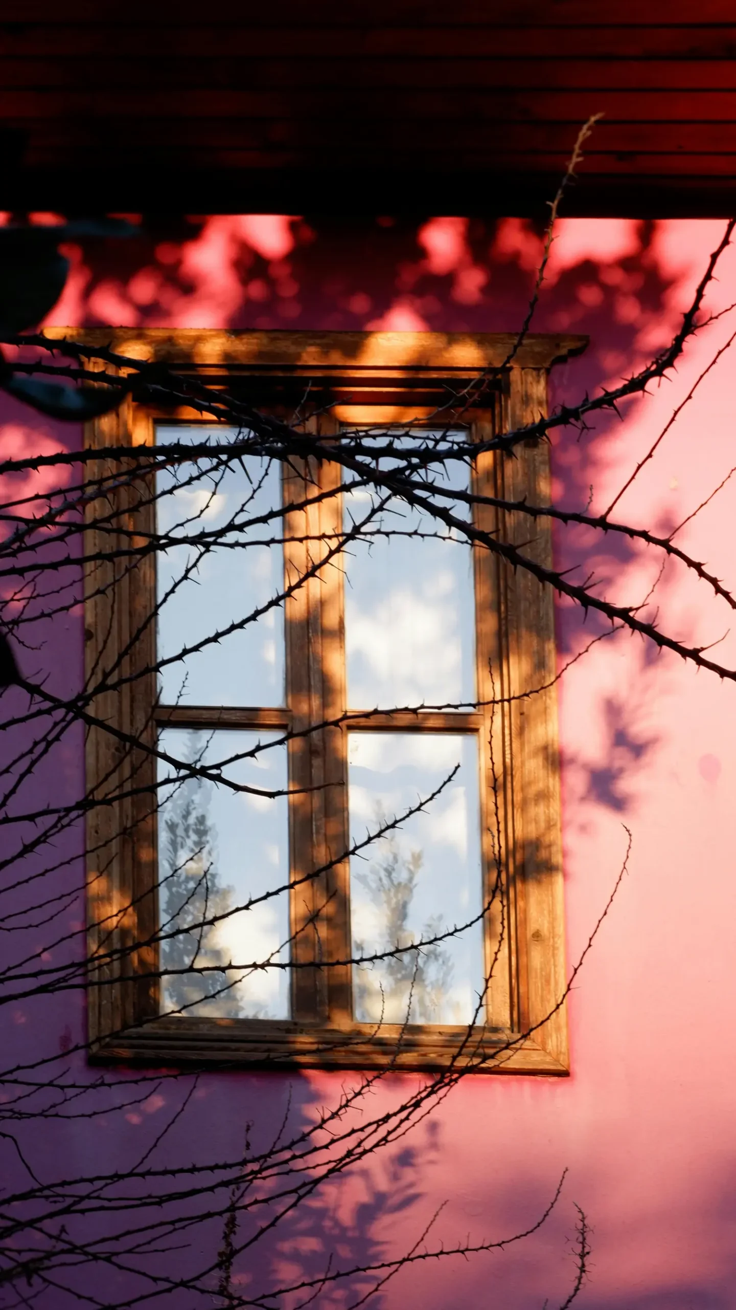 Modernes Fenster mit 3-fach-Isolierglas in einem hellen Wohnraum